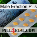 Male Erection Pills 44